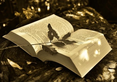 國開和函授有什么區別？哪個更好？